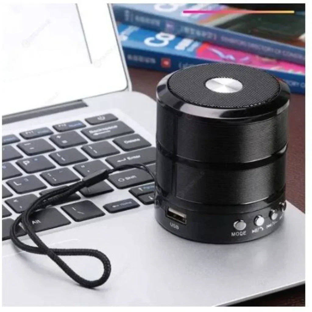 Mini Caixinha de Som Bluetooth Portátil WS-887 com Entrada USB, MP3, P2, SD e Rádio FM